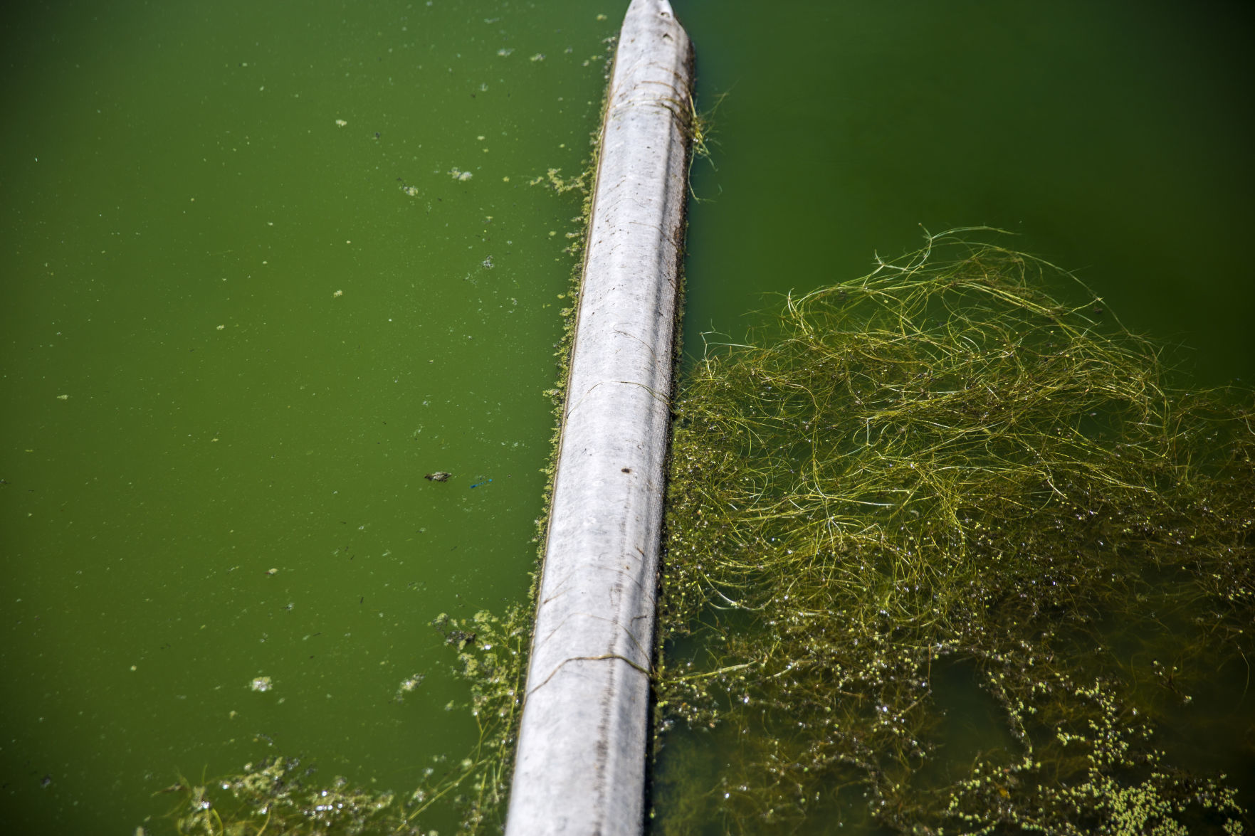 Hagerman improves wastewater treament system